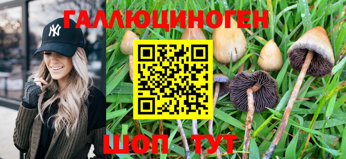 Галлюциногенные грибы Psilocybe Асбест